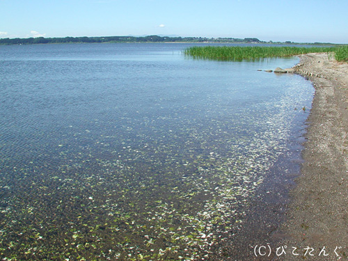 小川原湖エリア 青森県編 C ぴこたんぐ公式 インスピレーション写真集